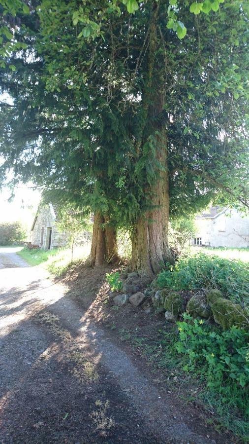Willa Ferme De La Grange Du Bas Saint-Bresson Zewnętrze zdjęcie